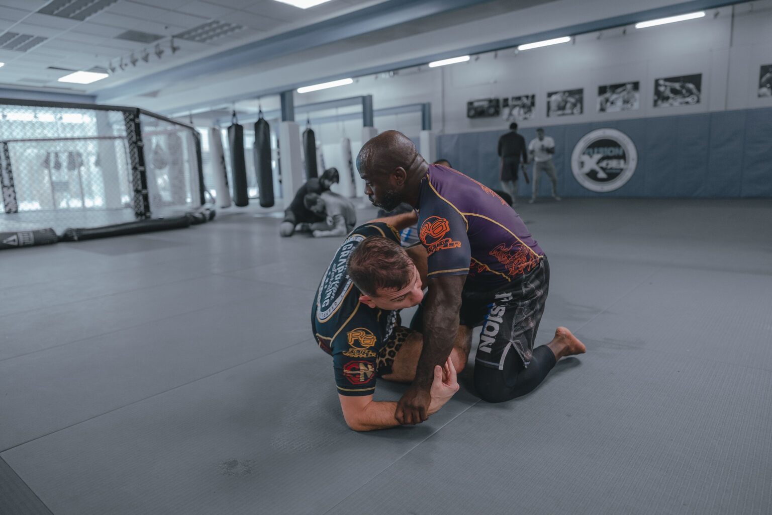 bjj grappling